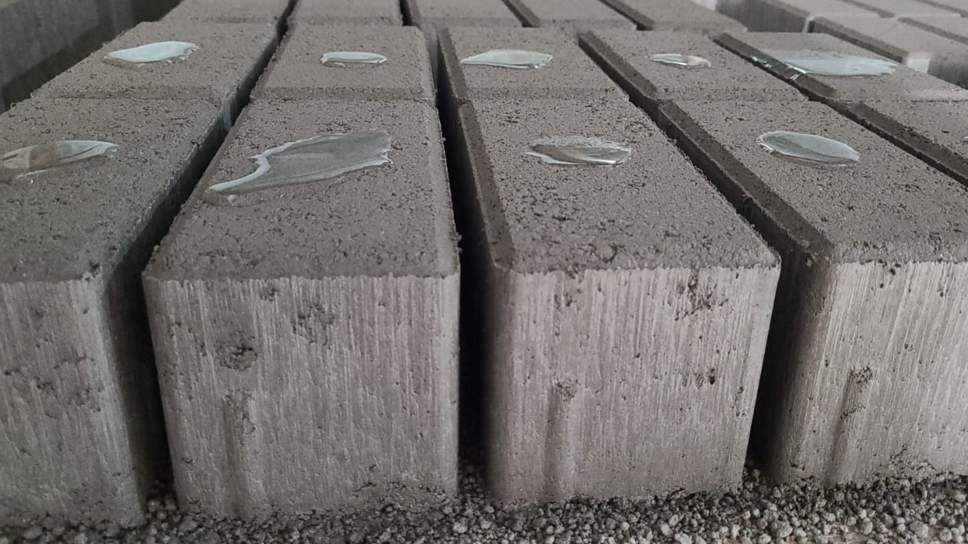 NEWSLETTER e CAPA BLOG (1)